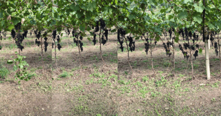 Image Matching Challenge 2025 振り返り会で発表してきた